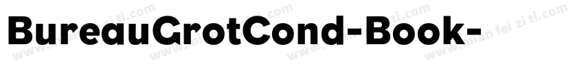 BureauGrotCond-Book字体转换