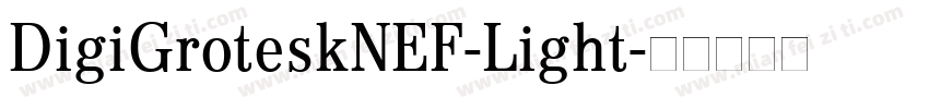 DigiGroteskNEF-Light字体转换