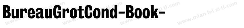 BureauGrotCond-Book字体转换