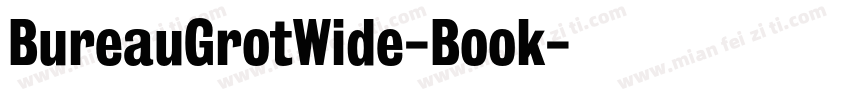 BureauGrotWide-Book字体转换