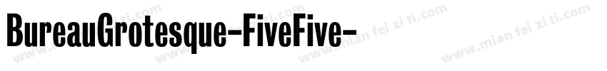 BureauGrotesque-FiveFive字体转换