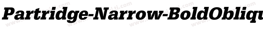 Partridge-Narrow-BoldOblique字体转换