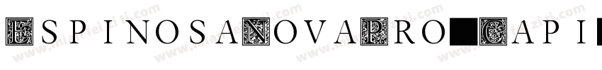 EspinosaNovaPro-Capi字体转换