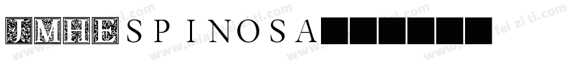 JMHEspinosa字体转换