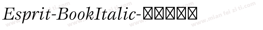 Esprit-BookItalic字体转换