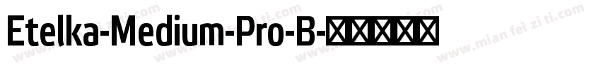 Etelka-Medium-Pro-B字体转换