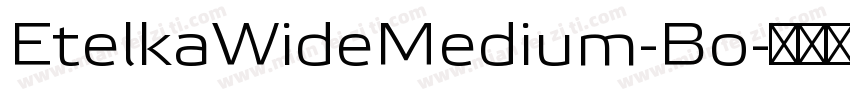 EtelkaWideMedium-Bo字体转换