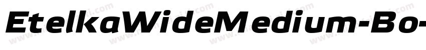 EtelkaWideMedium-Bo字体转换