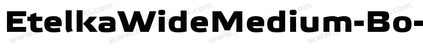 EtelkaWideMedium-Bo字体转换