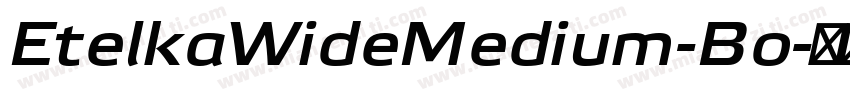 EtelkaWideMedium-Bo字体转换