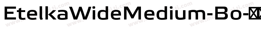 EtelkaWideMedium-Bo字体转换