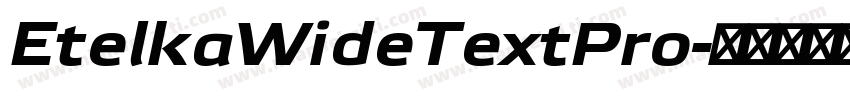 EtelkaWideTextPro字体转换