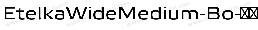 EtelkaWideMedium-Bo字体转换