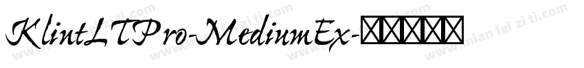 KlintLTPro-MediumEx字体转换