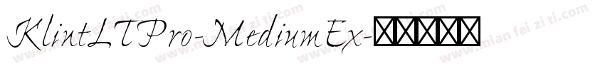 KlintLTPro-MediumEx字体转换