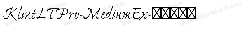 KlintLTPro-MediumEx字体转换