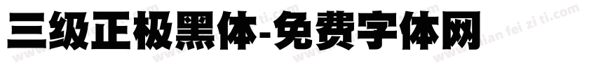三级正极黑体字体转换