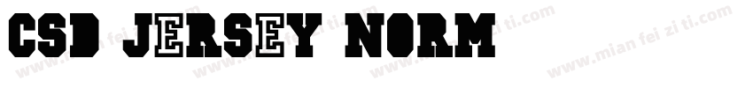 CSD-JERSEY-Norm字体转换