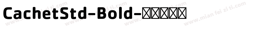 CachetStd-Bold字体转换