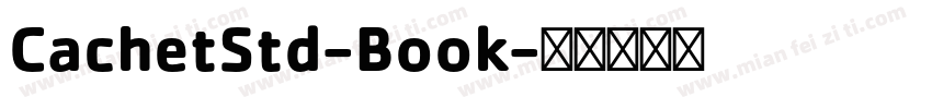 CachetStd-Book字体转换