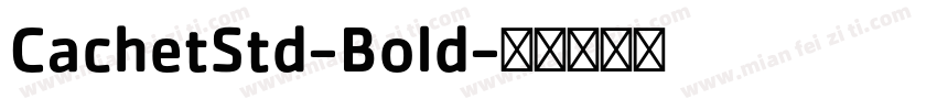 CachetStd-Bold字体转换