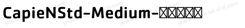 CapieNStd-Medium字体转换