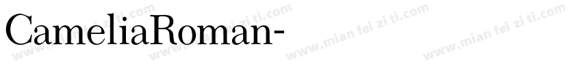 CameliaRoman字体转换