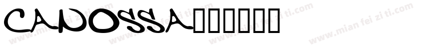 Canossa字体转换