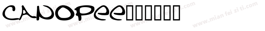 canopee字体转换