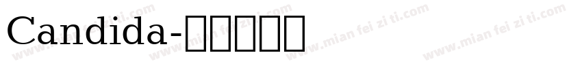 Candida字体转换
