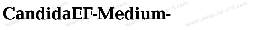 CandidaEF-Medium字体转换