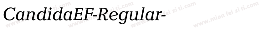 CandidaEF-Regular字体转换