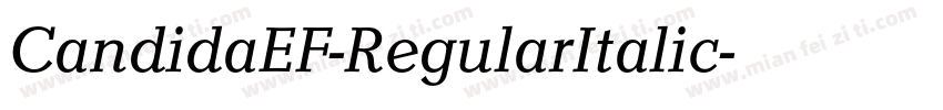 CandidaEF-RegularItalic字体转换