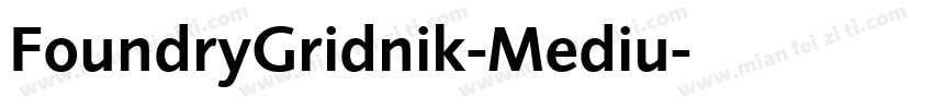 FoundryGridnik-Mediu字体转换