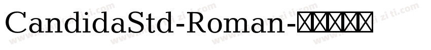 CandidaStd-Roman字体转换