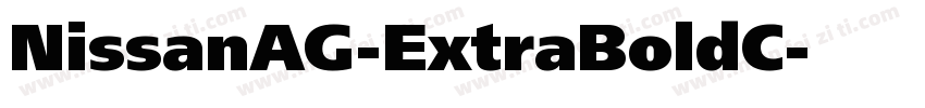 NissanAG-ExtraBoldC字体转换