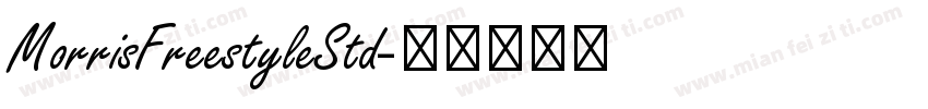 MorrisFreestyleStd字体转换
