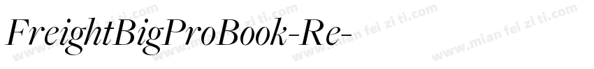 FreightBigProBook-Re字体转换