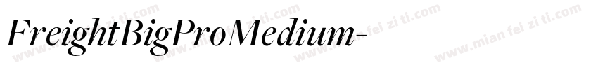 FreightBigProMedium字体转换