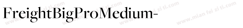 FreightBigProMedium字体转换
