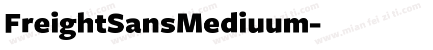 FreightSansMediuum字体转换