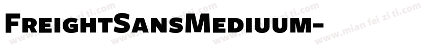 FreightSansMediuum字体转换
