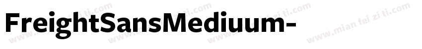 FreightSansMediuum字体转换