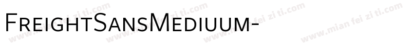 FreightSansMediuum字体转换
