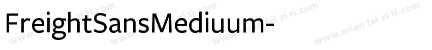 FreightSansMediuum字体转换