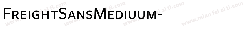 FreightSansMediuum字体转换