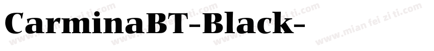 CarminaBT-Black字体转换