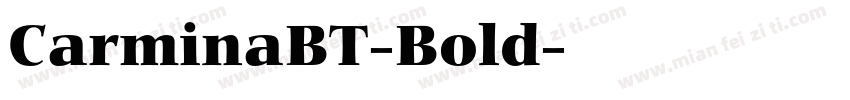 CarminaBT-Bold字体转换