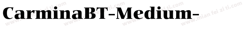 CarminaBT-Medium字体转换