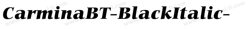 CarminaBT-BlackItalic字体转换